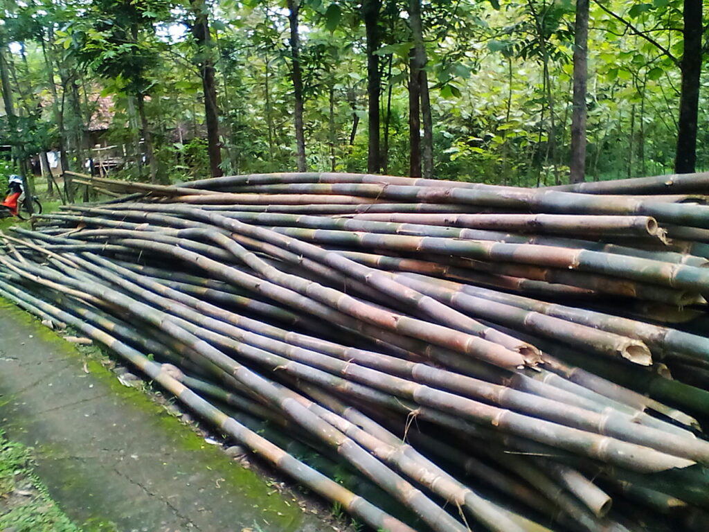 Tentang Bambu