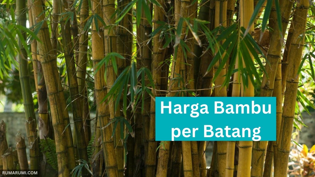harga bambu per batang